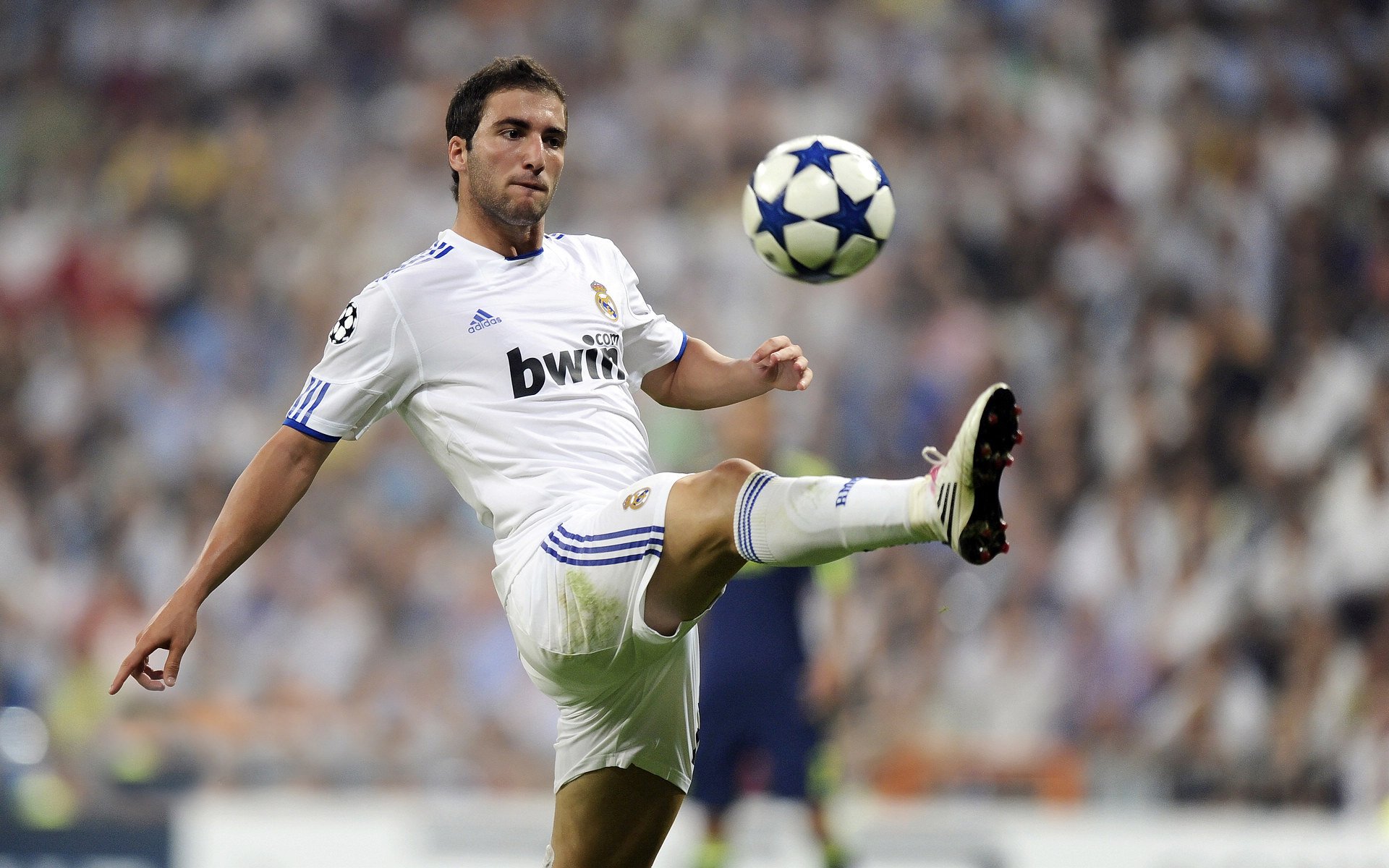 北京国安官方宣布队长郑智退役 发布会现场一度落泪，北京国安新任主帅